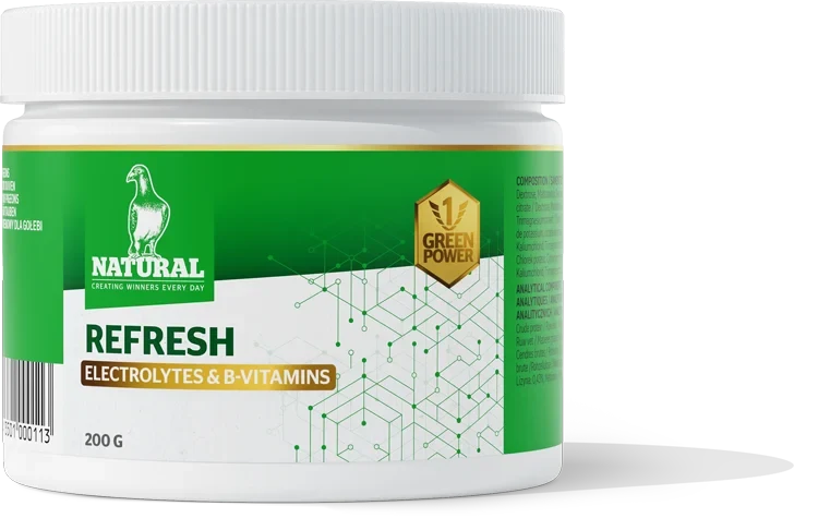 Green Power, Refresh « Électrolytes et vitamines B » 200 grammes, naturel