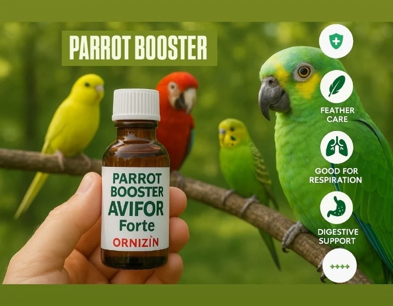 Booster pour perroquets 50 ml - Avifor Forte - Ornizin