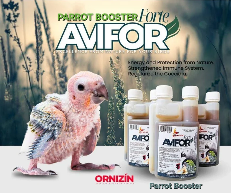 Booster pour perroquets 50 ml - Avifor Forte - Ornizin