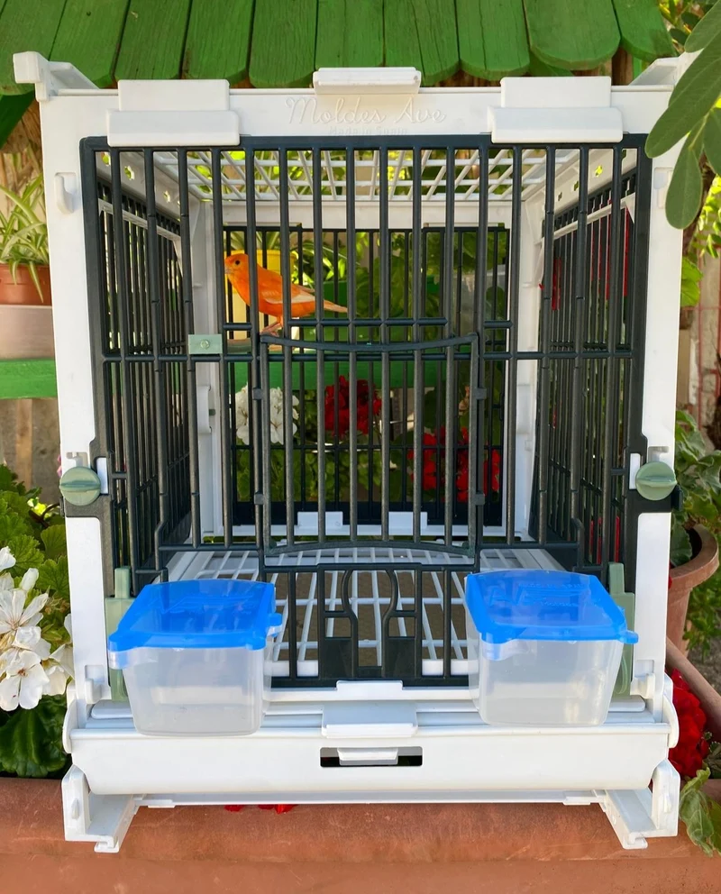 Cage d'élevage en plastique vert - MA Cage - Moldes Ave
