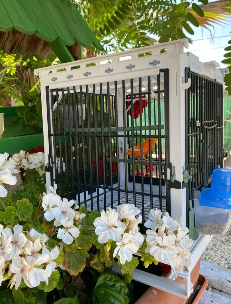 Cage d'élevage en plastique vert - MA Cage - Moldes Ave