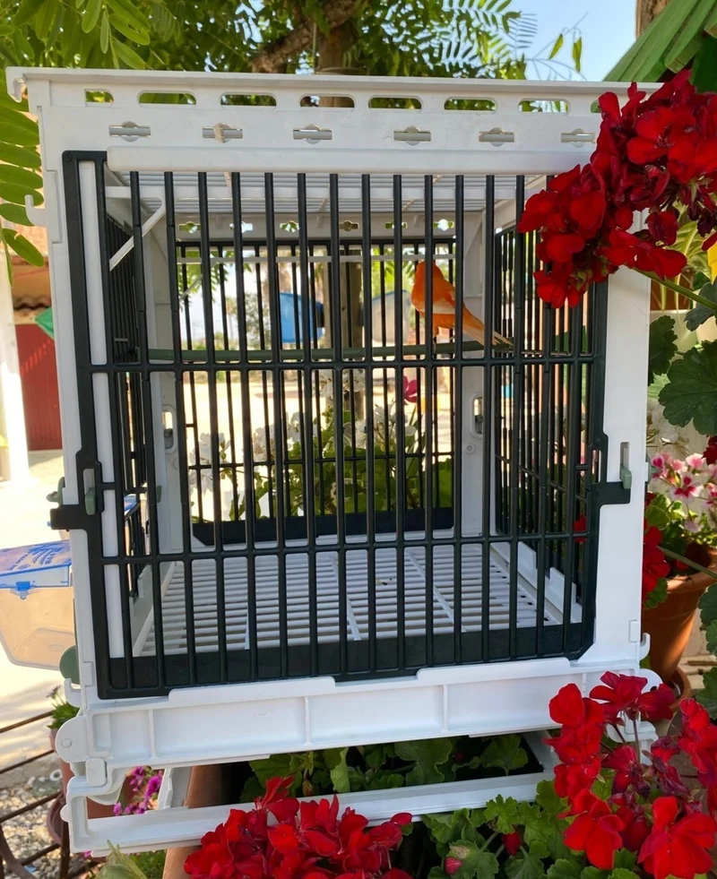 Cage d'élevage en plastique vert - MA Cage - Moldes Ave