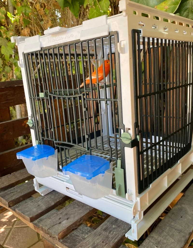Cage d'élevage en plastique vert - MA Cage - Moldes Ave