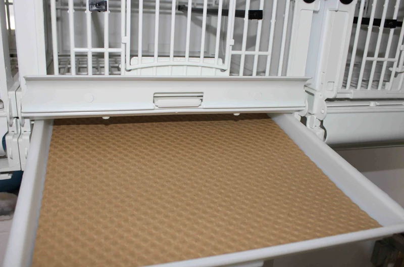 Papier gaufré pour moules cage à oiseaux MA (100 pièces)