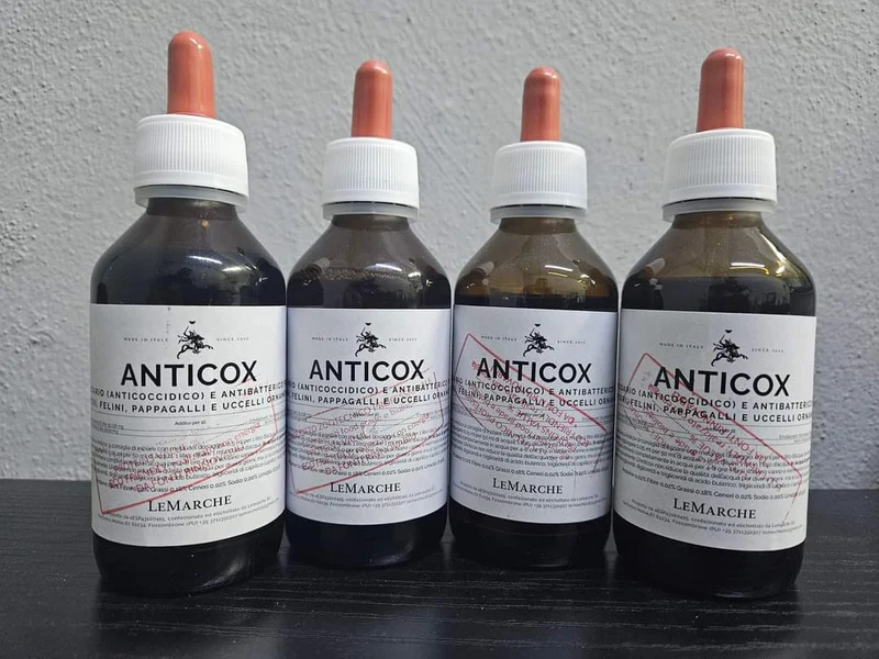 Anticox 100 ml - Coccidiose - Anti-taches noires ⚫️ - Mégabactéries - Champignons - Solution germinative - Unica