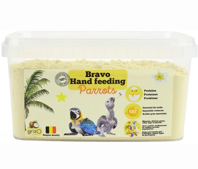 Perroquet de 800 grammes élevé à la main Bravo