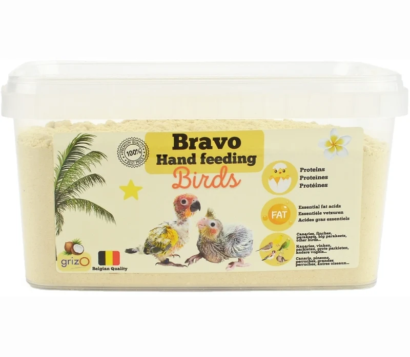 Oiseaux Bravo élevés à la main de 800 grammes
