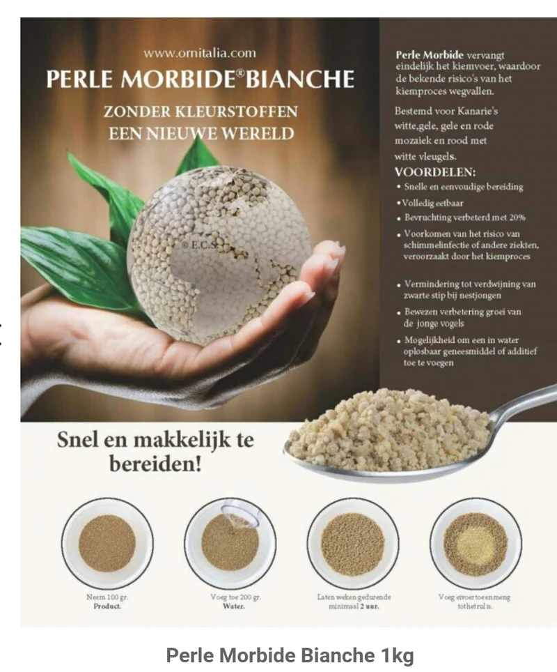 Perle Morbide Blanc