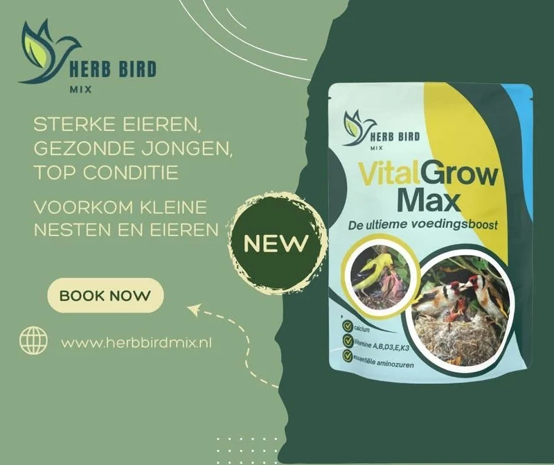 VitalGrow Max 500 grammes - Calcium, vitamines et acides aminés essentiels - Mélange d'herbes pour oiseaux