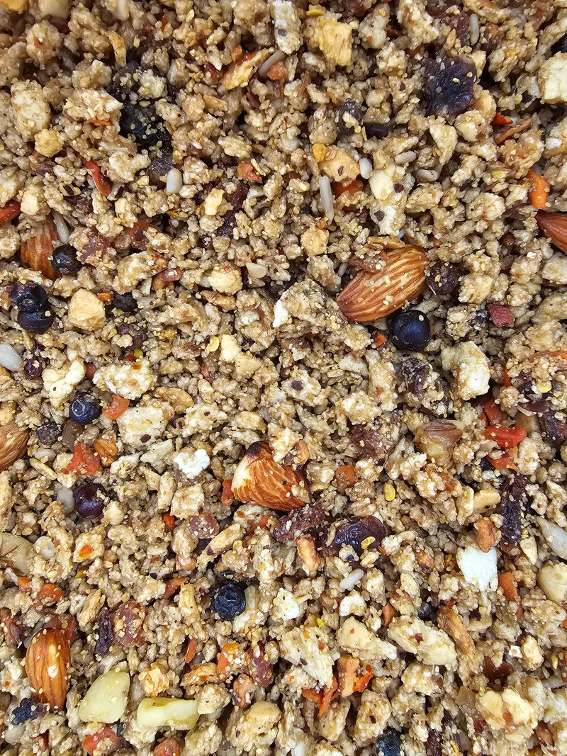 EXPERT Pâtée Extra Grossière 1 kg - Aux Fruits et Noix - Witte Molen