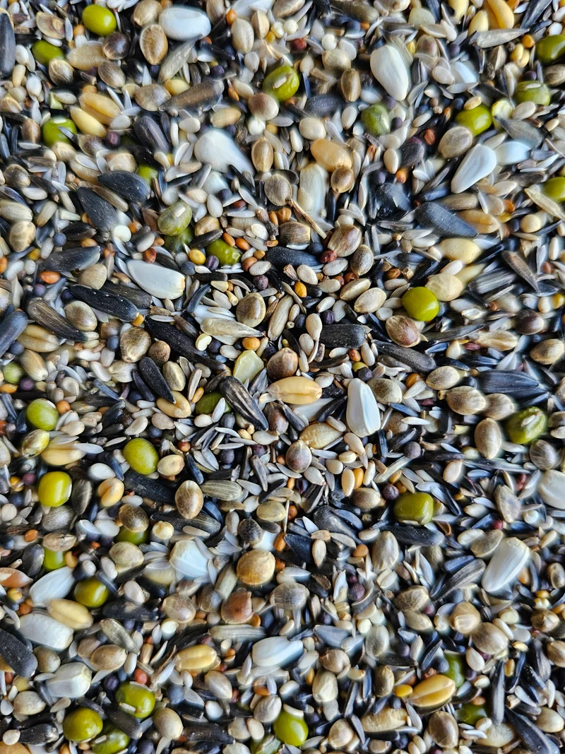 Deli Nature 38 - Graines pour oiseaux européens - 15kg