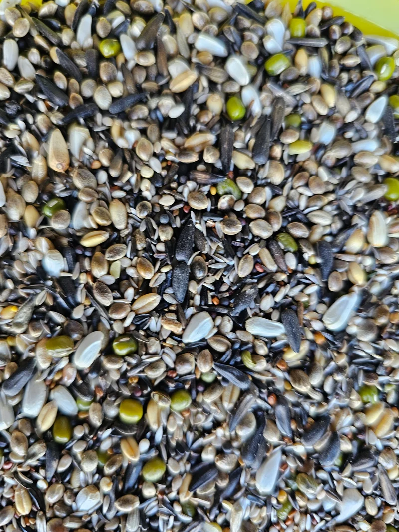 Deli Nature 38 - Graines pour oiseaux européens - 15kg