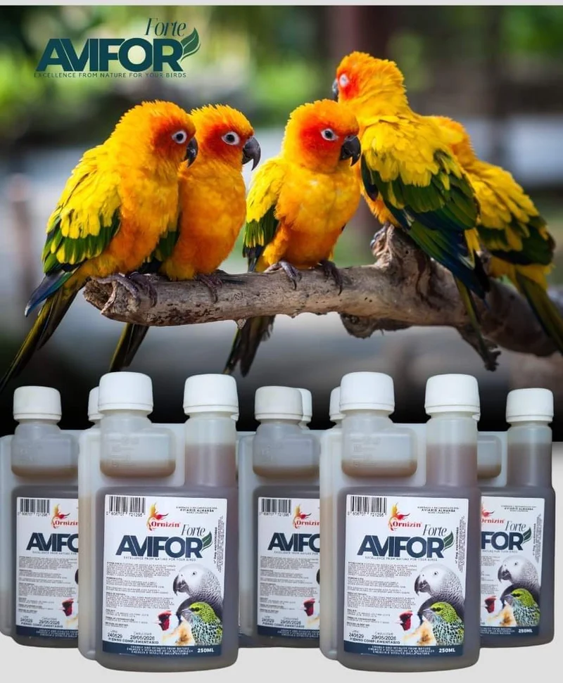 Avifor Forte 500 ml (2 x 250 ml) - Ornizin - Pour tous les oiseaux et pigeons - Convient pour 500 litres d'eau