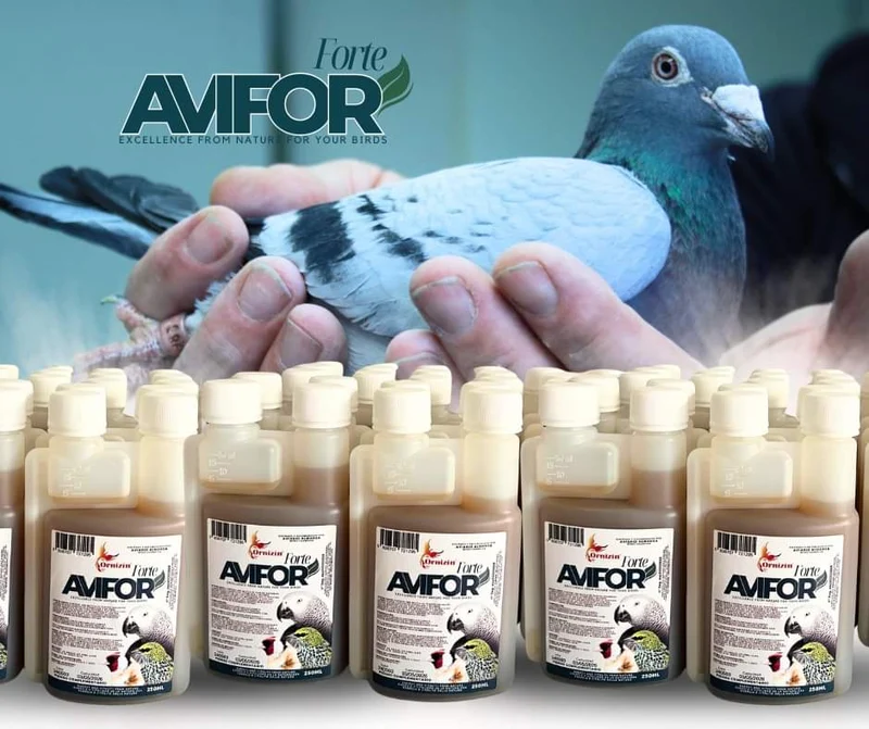 Avifor Forte 500 ml (2 x 250 ml) - Ornizin - Pour tous les oiseaux et pigeons - Convient pour 500 litres d'eau