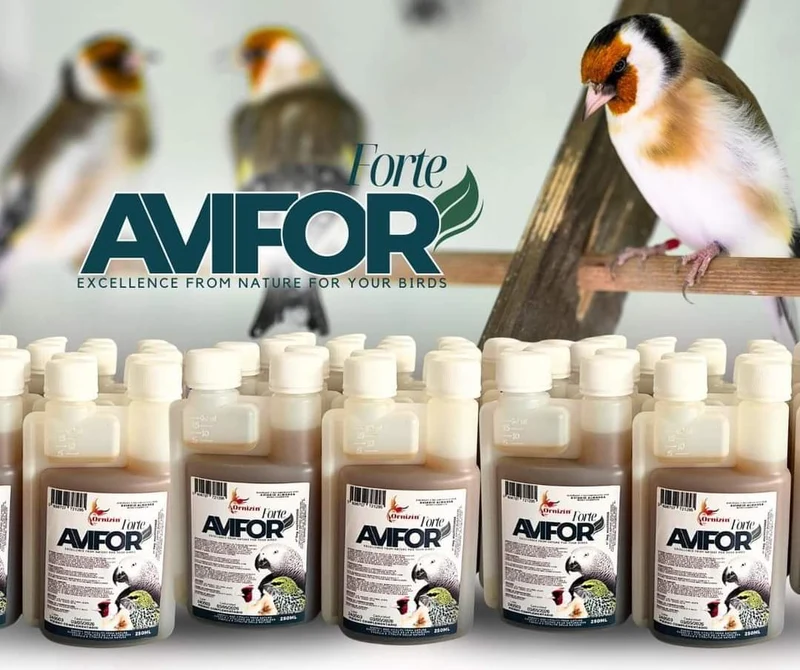 Avifor Forte 500 ml (2 x 250 ml) - Ornizin - Pour tous les oiseaux et pigeons - Convient pour 500 litres d'eau