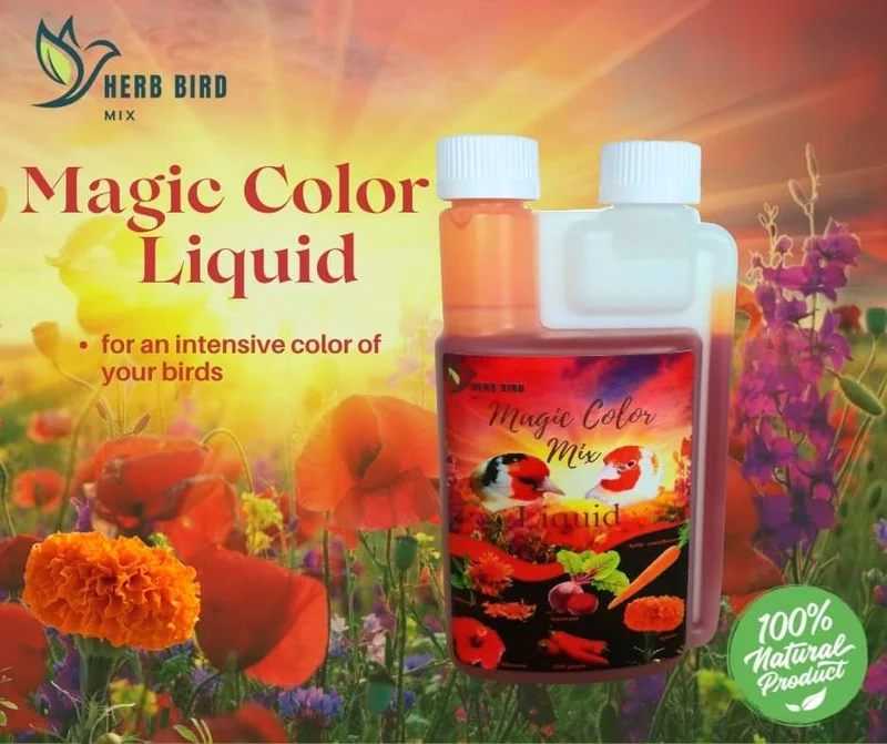 Magic Color Mix Liquide 300ml - Herb Bird Mix
