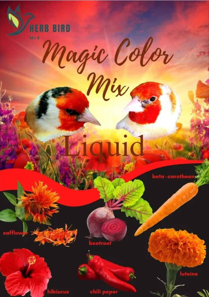 Magic Color Mix Liquide 300ml - Herb Bird Mix