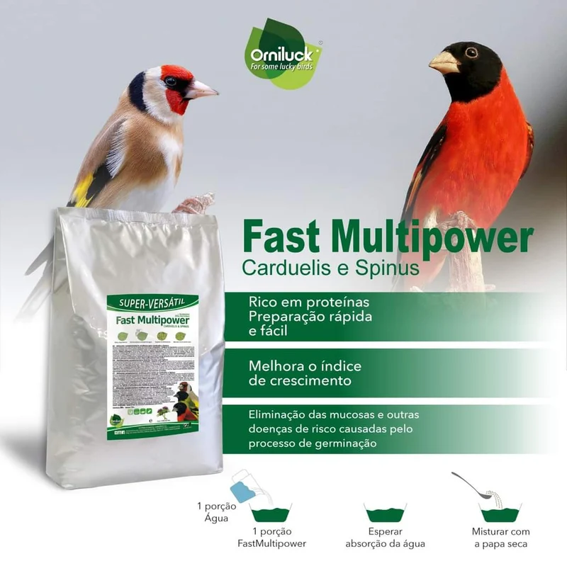 Multi-aliments rapide Carduelis et Spinus 1 kg - OrniLuck - Pâtée aux œufs verte