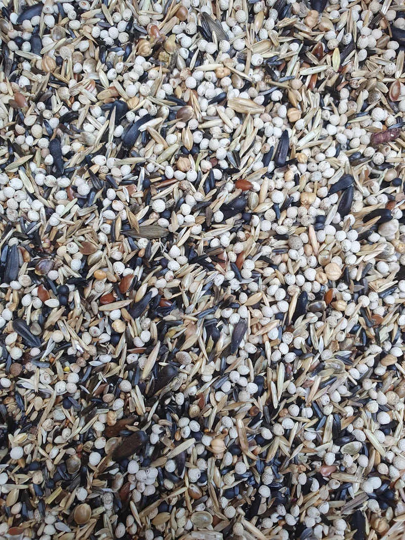 Tarins d'Europe et d'Amérique 1 kg - Hobbyfarm Hoebregts 219