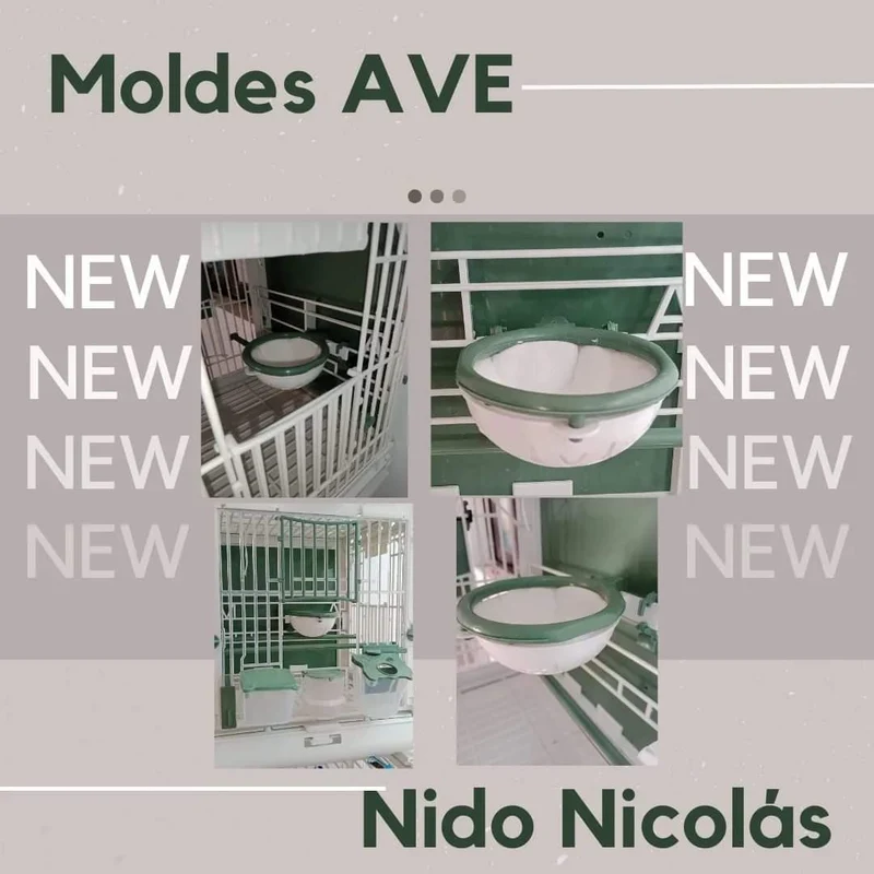 Nid Nicolas - Avec Anneau Vert Amovible - Moldes Ave