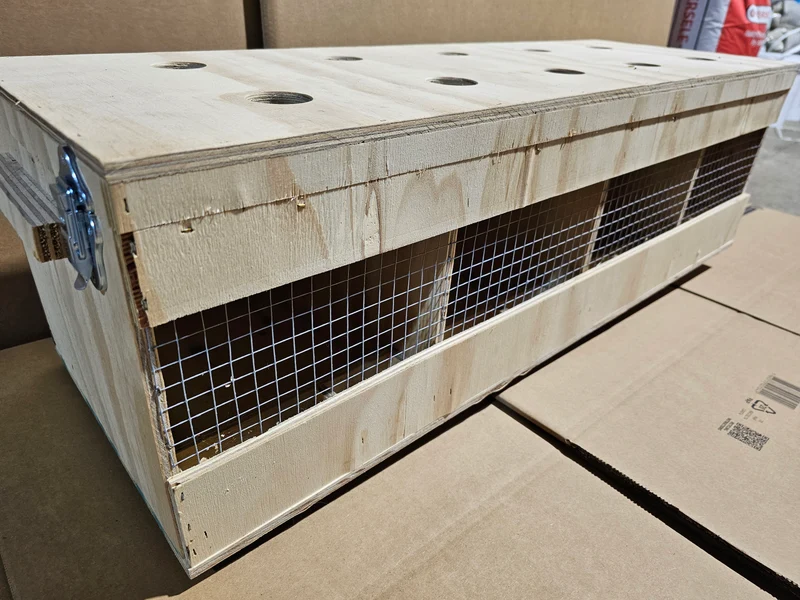 Caisse de transport en bois (solide et durable)