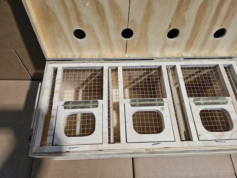 Caisse de transport en bois (solide et durable)
