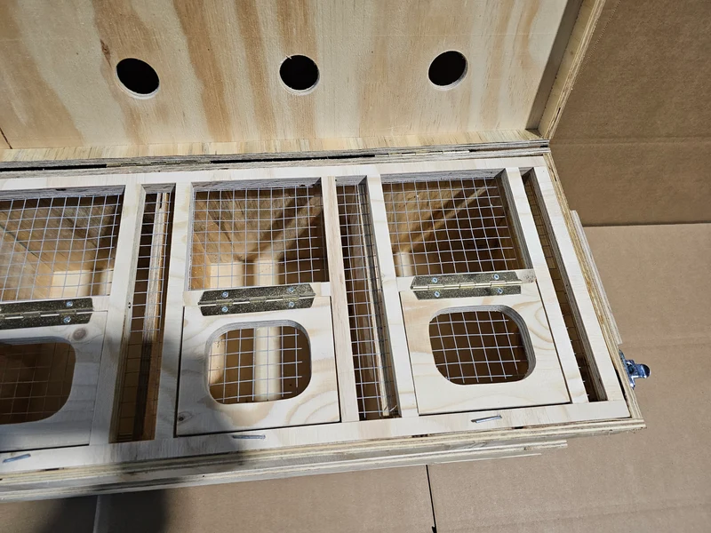 Caisse de transport en bois (solide et durable)
