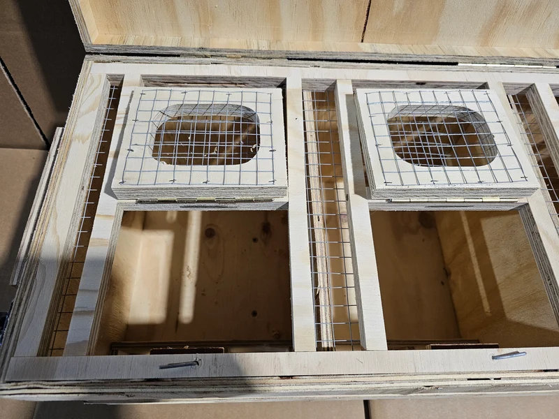 Caisse de transport en bois (solide et durable)