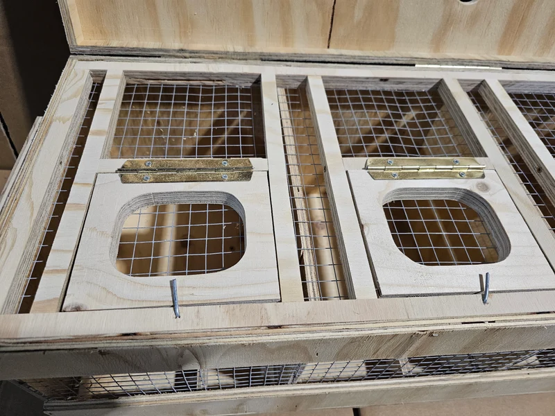 Caisse de transport en bois (solide et durable)