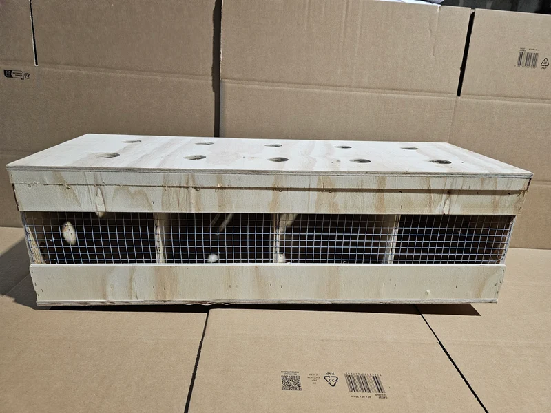 Caisse de transport en bois (solide et durable)