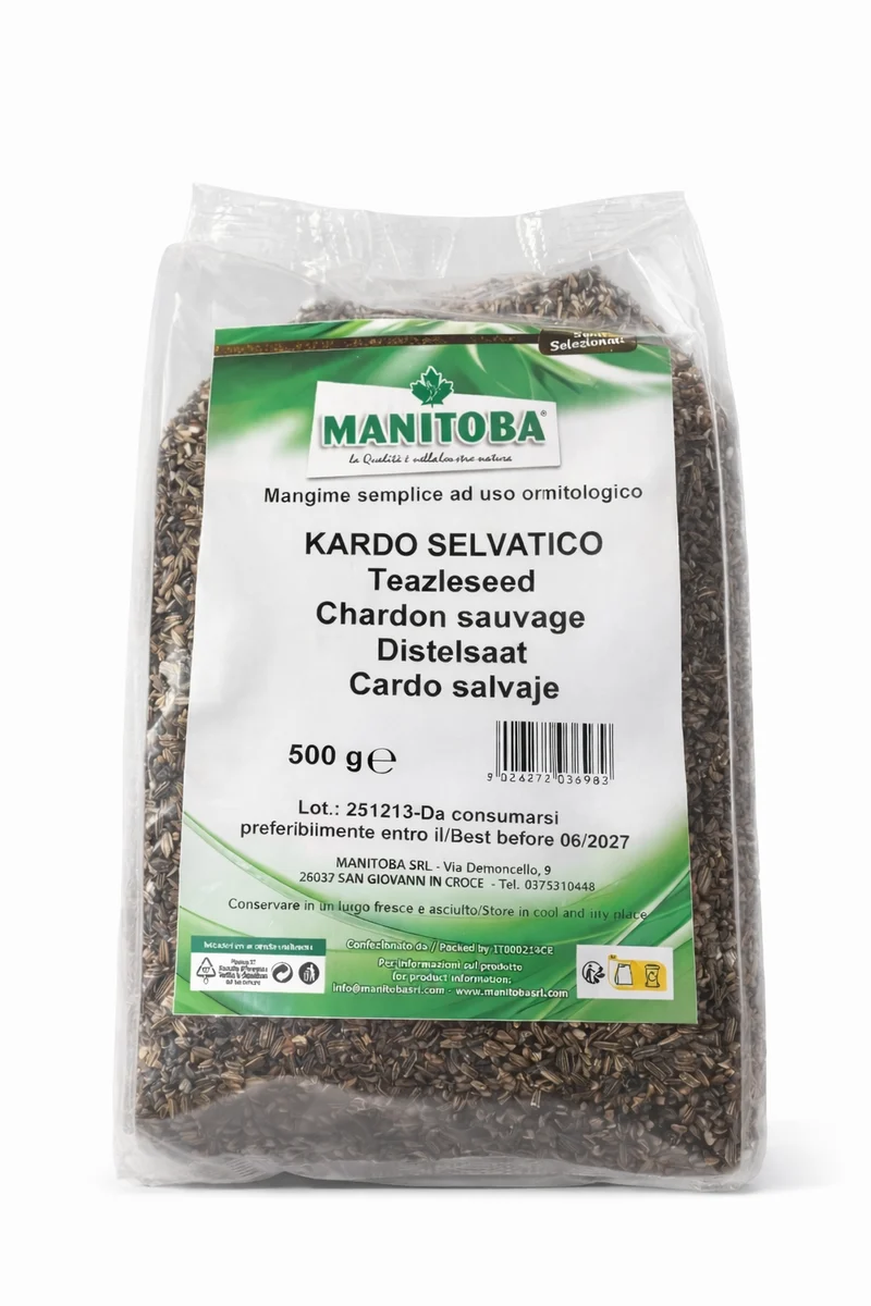 Graines de chardon, cardère, 500 grammes, Manitoba