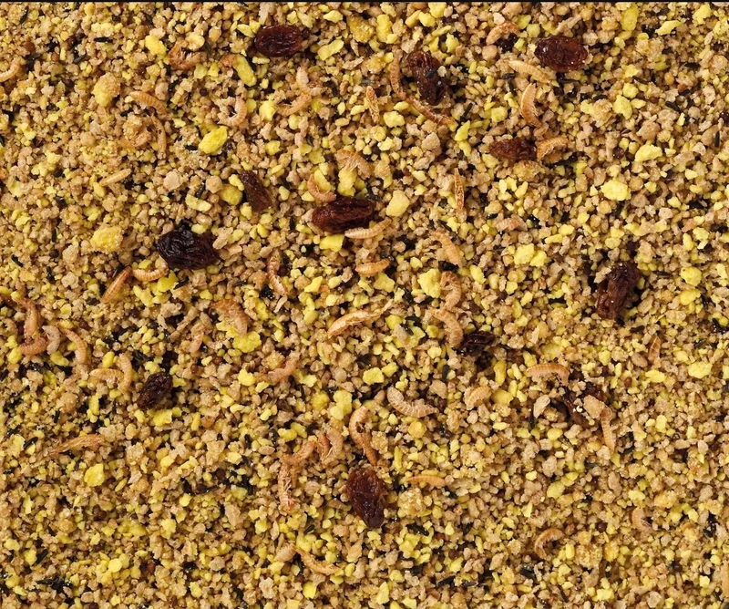 Deli Nature Pâtée aux Oeufs Pâtée Grandes Perruches et Perroquets Graisse 10kg