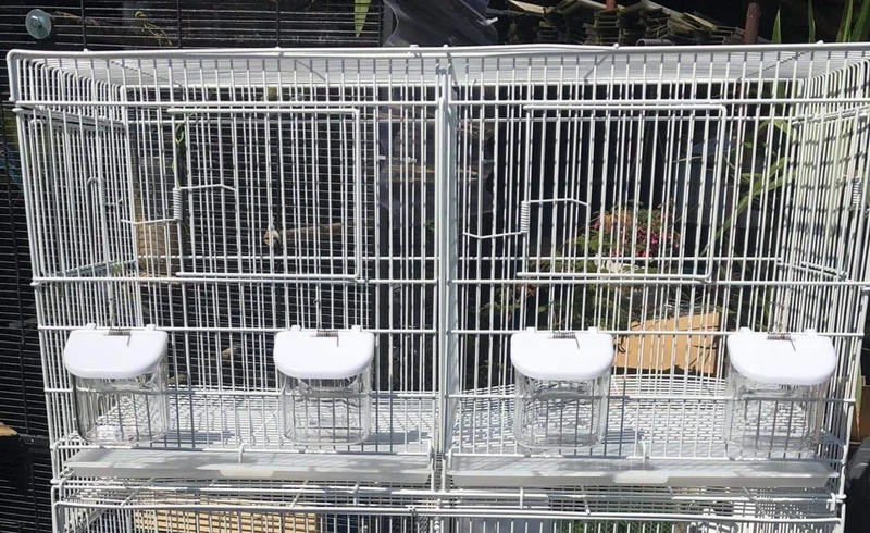 Cage d'élevage blanche empilable 60x25x35 (1 boîte de 6 pièces)