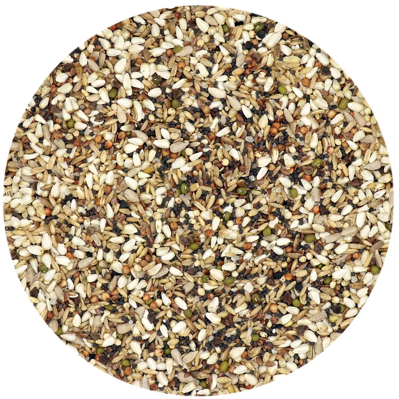 Mélange sournois 2.5 kg Colombine