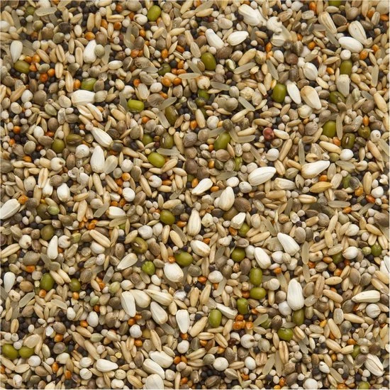 Graines de Bonbon Premium Exclusives 20 kg - Beyers