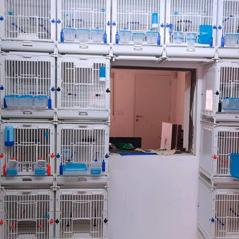 Cage d'élevage en plastique - MA Cage - Moldes Ave