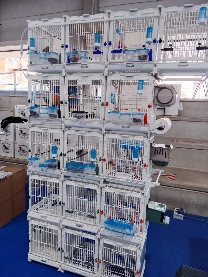 Cage d'élevage en plastique - MA Cage - Moldes Ave