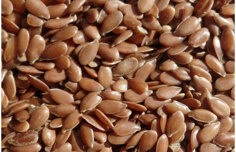 Graines de lin brun 100 grammes