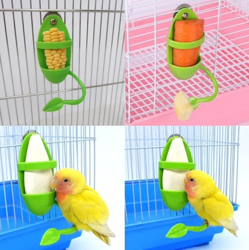 Porte-fruits et sépia en plastique