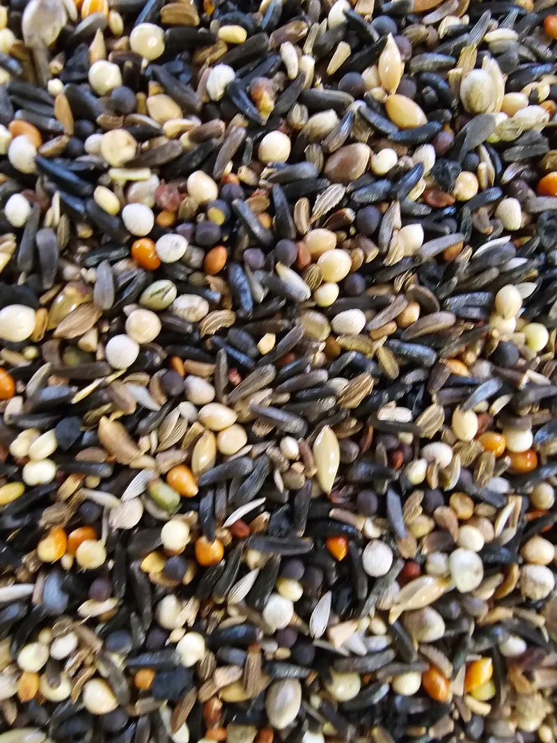 Graines de conditionnement 500 grammes ( 216 ) - Hobbyfarm Hoebregts