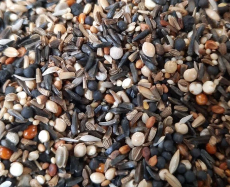 Graines de conditionnement 500 grammes ( 216 ) - Hobbyfarm Hoebregts