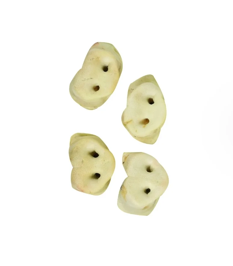 Nez de Cochon Soufflé au Miel - Snack pour Chien - 1 Pièce
