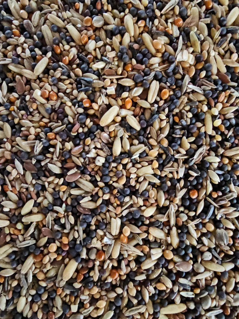 Graines de santé Vitakraft.