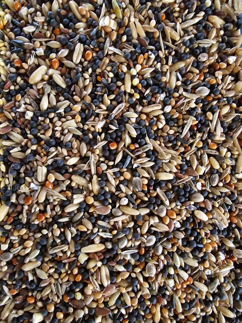 Graines de santé Vitakraft.