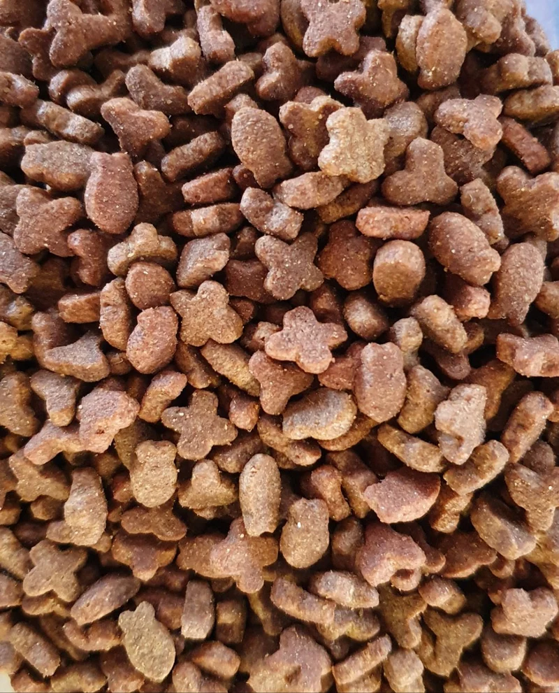 Menu Régulier Chat 1kg | Duvo+ (auto-emballé)