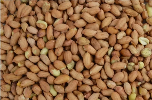 Cacahuètes pelées 250 grammes - Jardin