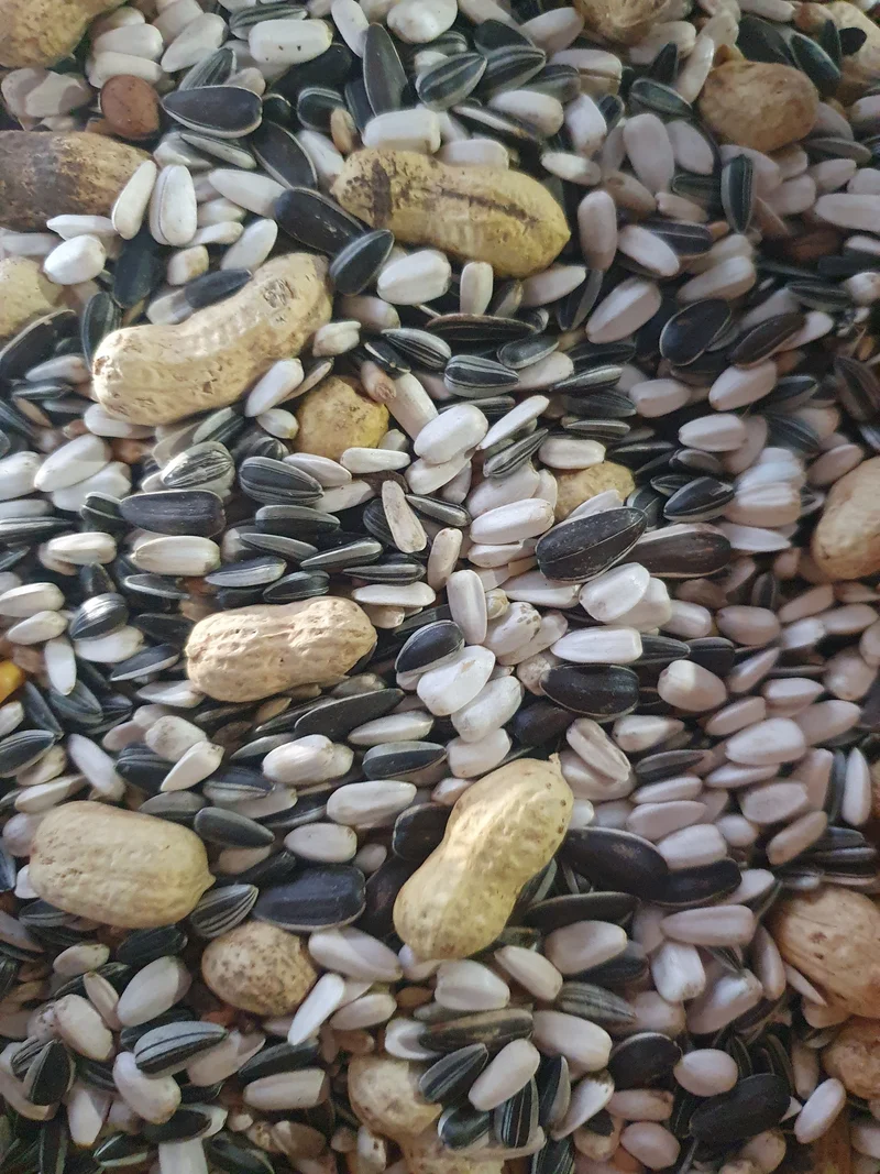 Perroquets Mix Duvo+ 5kg (emballé soi-même)