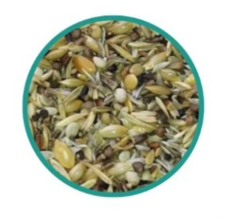Major White Mix 500 Grammes - Graines Spéciales - Haut Pouvoir de Germination - Unica & Blattner