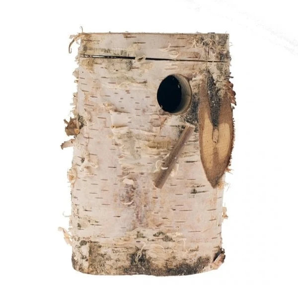 Bloc de bouleau Oiseaux exotiques
