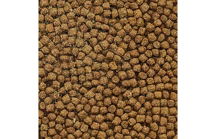 Nourriture en granulés pour cichlidés 500 ml - Flamingo